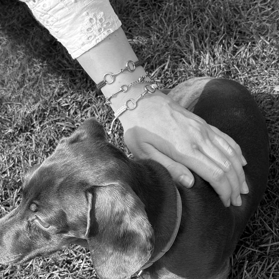 Bracelet and dog – pet collection